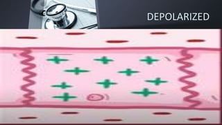 DEPOLARIZED
 