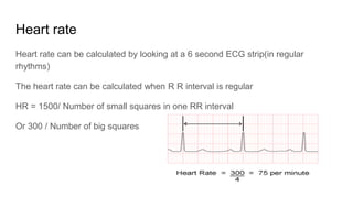 ECG | PPTX