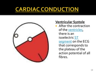 Ventricular Systole
 After the contraction
of the ventricles,
there is an
isoelectric ST
segment on the ECG
that corresponds to
the plateau of the
action potential of all
fibres.
13
 