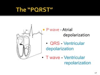  P wave - Atrial
depolarization
17
• T wave - Ventricular
repolarization
• QRS - Ventricular
depolarization
 