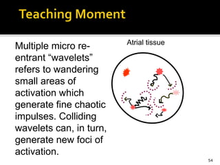 54
Multiple micro re-
entrant “wavelets”
refers to wandering
small areas of
activation which
generate fine chaotic
impulses. Colliding
wavelets can, in turn,
generate new foci of
activation.
Atrial tissue
 