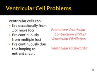 Ventricular cells can:
 fire occasionally from
1 or more foci
 fire continuously
from multiple foci
 fire continuously due
to a looping re-
entrant circuit
PrematureVentricular
Contractions (PVCs)
Ventricular Fibrillation
VentricularTachycardia
56
 