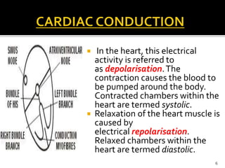  In the heart, this electrical
activity is referred to
as depolarisation.The
contraction causes the blood to
be pumped around the body.
Contracted chambers within the
heart are termed systolic.
 Relaxation of the heart muscle is
caused by
electrical repolarisation.
Relaxed chambers within the
heart are termed diastolic.
6
 
