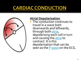Atrial Depolarisation
 The conduction continues to
travel in a wave both
downwards and leftwards,
through both atria,
depolarising each cell in turn
and causing the atria to
contract. It is this
depolarisation that can be
seen as the P wave on the ECG.
8
 