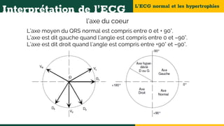 L’ECG normal et les hypertrophies
Interprétation de l’ECG
l’axe du coeur
L’axe moyen du QRS normal est compris entre 0 et + 90°.
L’axe est dit gauche quand l’angle est compris entre 0 et –90°.
L’axe est dit droit quand l’angle est compris entre +90° et –90°.
 