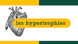 les hypertrophies
 