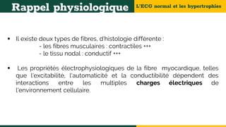 L’ECG normal et les hypertrophies
Rappel physiologique
 Il existe deux types de fibres, d'histologie différente :
- les fibres musculaires : contractiles +++
- le tissu nodal : conductif +++
 Les propriétés électrophysiologiques de la fibre myocardique, telles
que l'excitabilité, l'automaticité et la conductibilité dépendent des
interactions entre les multiples charges électriques de
l'environnement cellulaire.
 