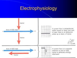 Electrophysiology
 