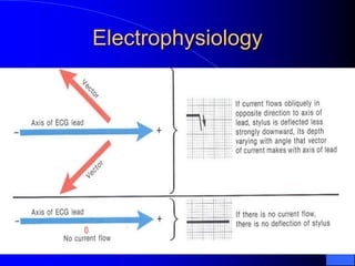 Electrophysiology
 