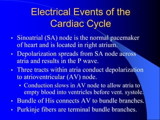 Electrical Events of the
Cardiac Cycle
• Sinoatrial (SA) node is the normal pacemaker
of heart and is located in right atrium.
• Depolarization spreads from SA node across
atria and results in the P wave.
• Three tracts within atria conduct depolarization
to atrioventricular (AV) node.
• Conduction slows in AV node to allow atria to
empty blood into ventricles before vent. systole.
• Bundle of His connects AV to bundle branches.
• Purkinje fibers are terminal bundle branches.
 