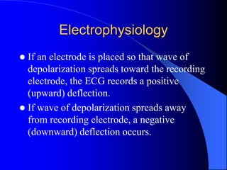 Electrophysiology
 If an electrode is placed so that wave of
depolarization spreads toward the recording
electrode, the ECG records a positive
(upward) deflection.
 If wave of depolarization spreads away
from recording electrode, a negative
(downward) deflection occurs.
 