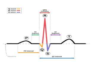ecg.pptx | Heart and Cardiovascular Diseases | Diseases and Conditions