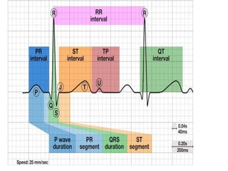 ecg.pptx | Heart and Cardiovascular Diseases | Diseases and Conditions