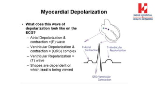 Basics of ECG.pptx