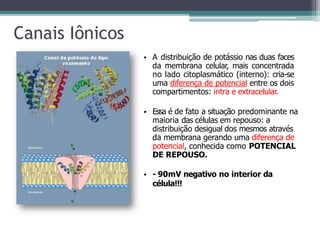 Canais Iônicos
• A distribuição de potássio nas duas faces
da membrana celular, mais concentrada
no lado citoplasmático (interno): cria-se
uma diferença de potencial entre os dois
compartimentos: intra e extracelular.
• Essa é de fato a situação predominante na
maioria das células em repouso: a
distribuição desigual dos mesmos através
da membrana gerando uma diferença de
potencial, conhecida como POTENCIAL
DE REPOUSO.
• - 90mV negativo no interior da
célula!!!
 