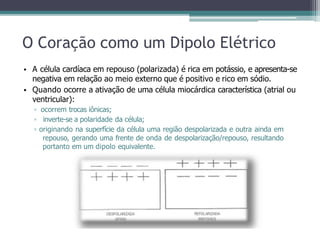 O Coração como um Dipolo Elétrico
• A célula cardíaca em repouso (polarizada) é rica em potássio, e apresenta-se
negativa em relação ao meio externo que é positivo e rico em sódio.
• Quando ocorre a ativação de uma célula miocárdica característica (atrial ou
ventricular):
▫ ocorrem trocas iônicas;
▫ inverte-se a polaridade da célula;
▫ originando na superfície da célula uma região despolarizada e outra ainda em
repouso, gerando uma frente de onda de despolarização/repouso, resultando
portanto em um dipolo equivalente.
 