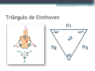 Triângulo de Einthoven
 