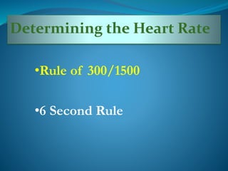 Determining the Heart Rate
•Rule of 300/1500
•6 Second Rule
 