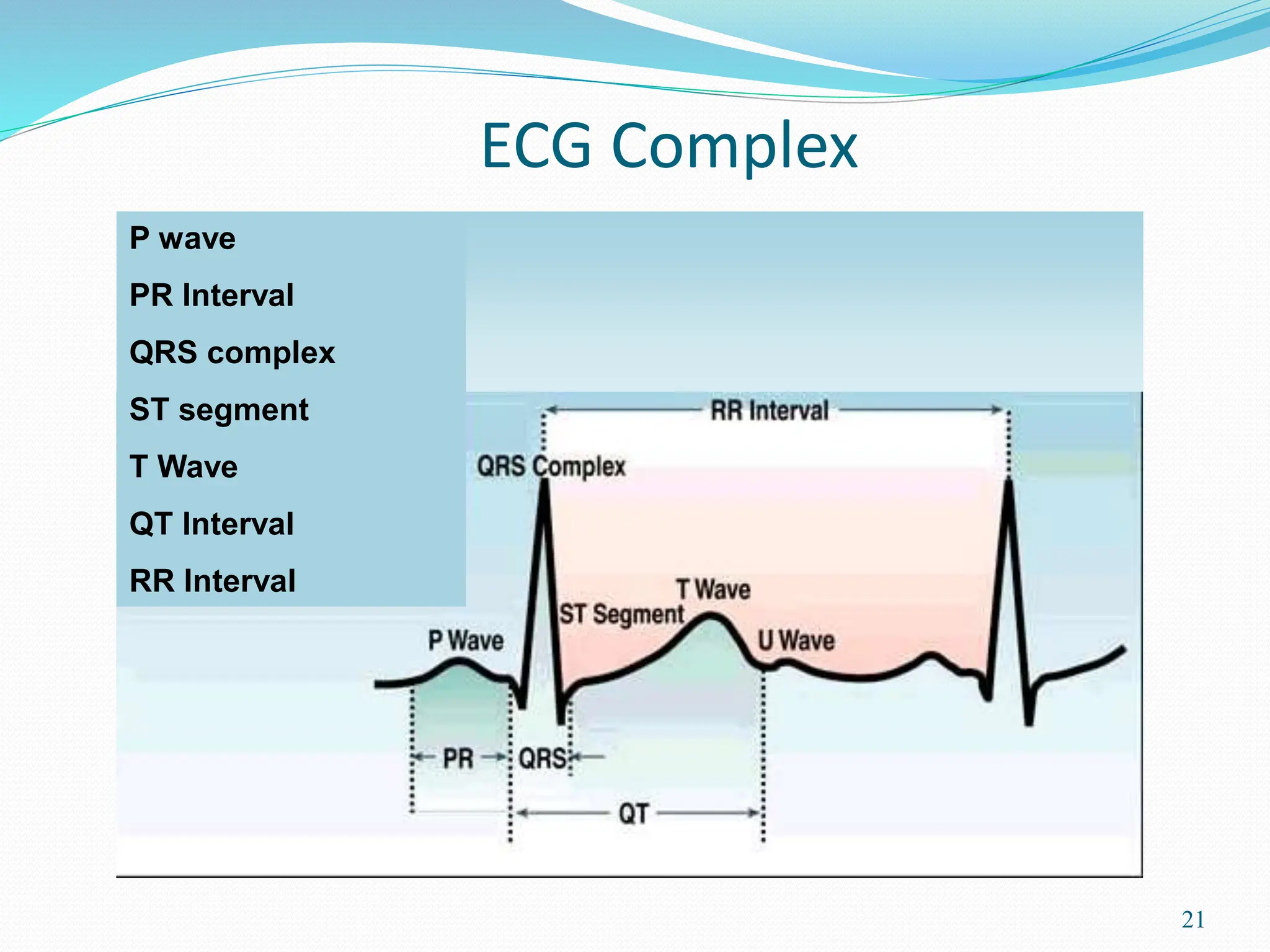 21
ECG Complex
P wave
PR Interval
QRS complex
ST segment
T Wave
QT Interval
RR Interval
 