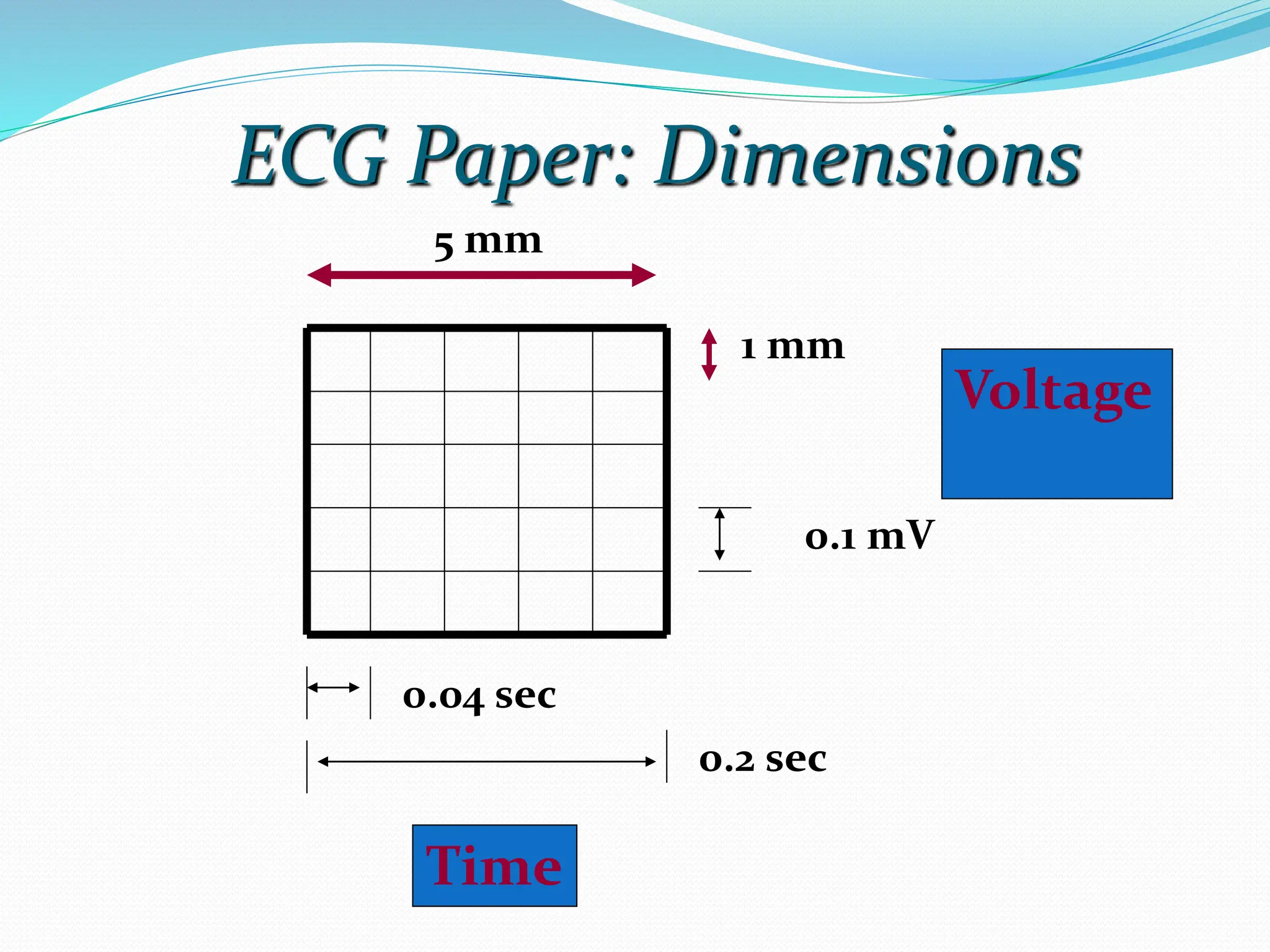 ECG Paper: Dimensions
5 mm
1 mm
0.1 mV
0.04 sec
0.2 sec
Time
Voltage
 
