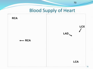 70
70
Blood Supply of Heart
LCA
RCA
LAD
LCX
RCA
 