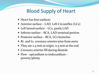 71
 Heart has four surfaces
 Anterior surface – LAD, Left Circumflex (LCx)
 Left lateral surface – LCx, partly LAD
 Inferior surface – RCA, LAD terminal portion
 Posterior surface – RCA, LCx branches
 Rt. and Lt. coronary arteries arise from aorta
 They are 2.5 mm at origin, 0.5 mm at the end
 Coronary arteries fill during diastole
 Flow - epicardium to endocardium –
poverty/plenty
Blood Supply of Heart
 
