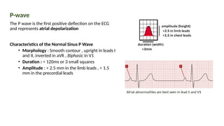 ECG CARDIO SADASASFEWRRRRRRRRRRRR55465634543 | PPTX