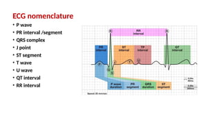 ECG nomenclature
• P wave
• PR interval /segment
• QRS complex
• J point
• ST segment
• T wave
• U wave
• QT interval
• RR interval
 