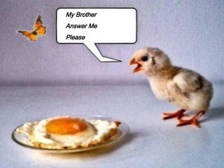 My Brother
Answer Me
Please
 