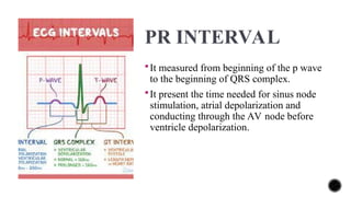 ECG.ppt in this ppt heart rate rhythm, ecg waves all can study | PPT