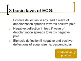 Positive Deflection Electrocardiography for physiotehrapists | PPT