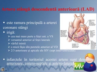 Artera stângă descendentă anterioară (LAD)
 este ramura principală a arterei
coronare stângi
 irigă:
 cea mai mare parte a feţei ant. a VS
 versantul anterior al feţei laterale
 vârful inimii
 o mică fâşie din peretele anterior al VD
 2/3 anterioare şi apicale ale SIV (sept interventricular)
 infarctele în teritoriul acestei artere sunt denumite
anterioare, antero-septale şi antero-laterale
36
 