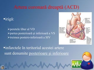 Artera coronară dreaptă (ACD)
irigă:
peretele liber al VD
partea posterioară şi inferioară a VS
treimea postero-inferioară a SIV
infarctele în teritoriul acestei artere
sunt denumite posterioare şi inferioare
38
 