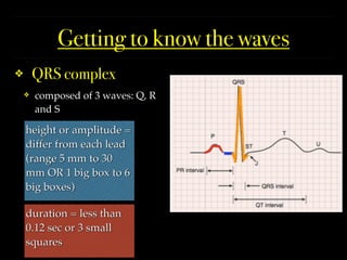 Comprehensive Guide to ECG Interpretation and Cardiac Conduction | PDF