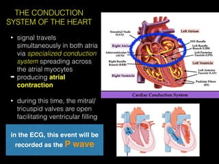 Comprehensive Guide to ECG Interpretation and Cardiac Conduction | PDF