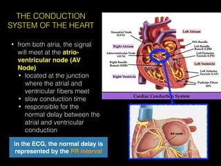 Comprehensive Guide to ECG Interpretation and Cardiac Conduction | PDF