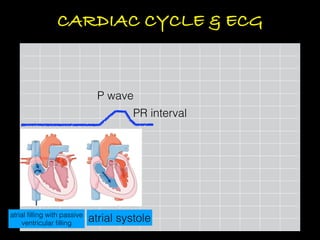 Comprehensive Guide to ECG Interpretation and Cardiac Conduction | PDF