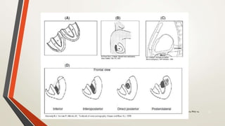 24-May-14Dr. UZMA ANSARI 22
 