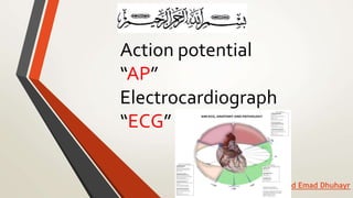 Action potential
“AP”
Electrocardiograph
“ECG”
Hamad Emad Dhuhayr
 