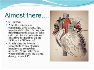 Almost there…. ST interval After the ventricle is completely depolarized, few impulses take place during this time before repolarization (also called ventricular relaxation). This time is inscribed on the ECG as the ST interval. At this time the heart is susceptible to any electrical impulse and somewhat unstable. *This is the point where defibrillators are placed during human CPR. 