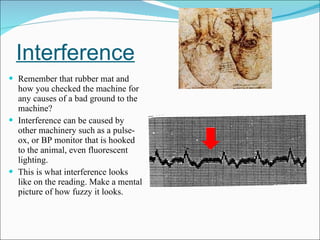 Interference Remember that rubber mat and how you checked the machine for any causes of a bad ground to the machine? Interference can be caused by other machinery such as a pulse-ox, or BP monitor that is hooked to the animal, even fluorescent lighting. This is what interference looks like on the reading. Make a mental picture of how fuzzy it looks.  