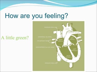How are you feeling? A little green? 