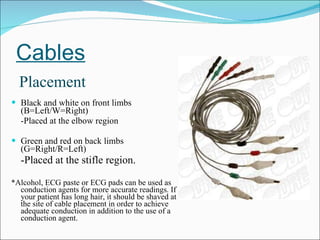 Cables Black and white on front limbs (B=Left/W=Right) -Placed at the elbow region Green and red on back limbs (G=Right/R=Left) -Placed at the stifle region. *Alcohol, ECG paste or ECG pads can be used as conduction agents for more accurate readings. If your patient has long hair, it should be shaved at the site of cable placement in order to achieve adequate conduction in addition to the use of a conduction agent.  Placement 