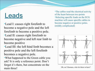 Leads Lead I: causes right forelimb to become a negative pole and the left forelimb to become a positive pole. Lead II: causes right forelimb to become negative and left rear limb to become positive Lead III: the left hind limb becomes a positive pole and the left forelimb becomes a negative pole. What happened to the Green cable you ask? It is only a reference point. Don’t forget it’s there, but concentrate on the main three! Oh, no! Humans, who let them in here? The cables read the electrical activity of the heart between two points Selecting specific leads on the ECG machine will cause specific cables to become negative or positive poles. (mildly complicated) 