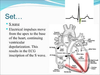 Almost there….
 ST interval
 After the ventricle is
  completely depolarized, few
  impulses take place during this
  ti...