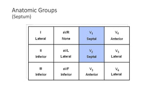 Anatomic Groups
(Septum)
 