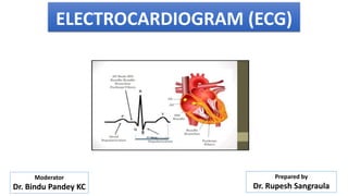 ELECTROCARDIOGRAM (ECG)
Prepared by
Dr. Rupesh Sangraula
Moderator
Dr. Bindu Pandey KC
 