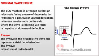 Basics of electrocardiogram | PDF