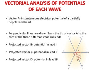 Ecg- Vector Analysis | PPTX