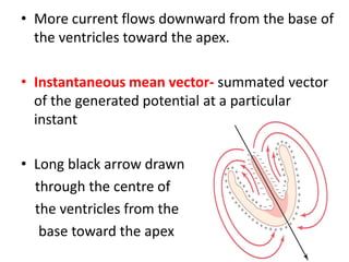 Ecg- Vector Analysis | PPTX